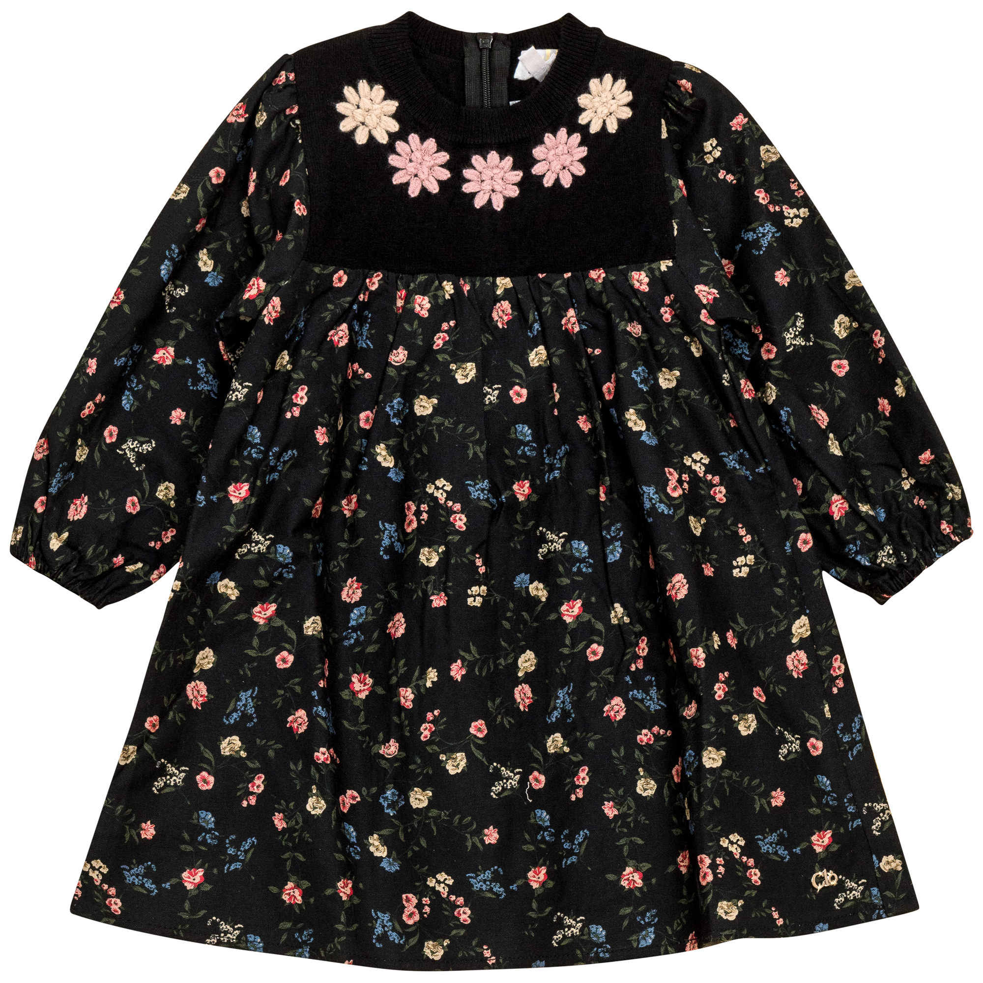 Flower Print Embroidered Dress