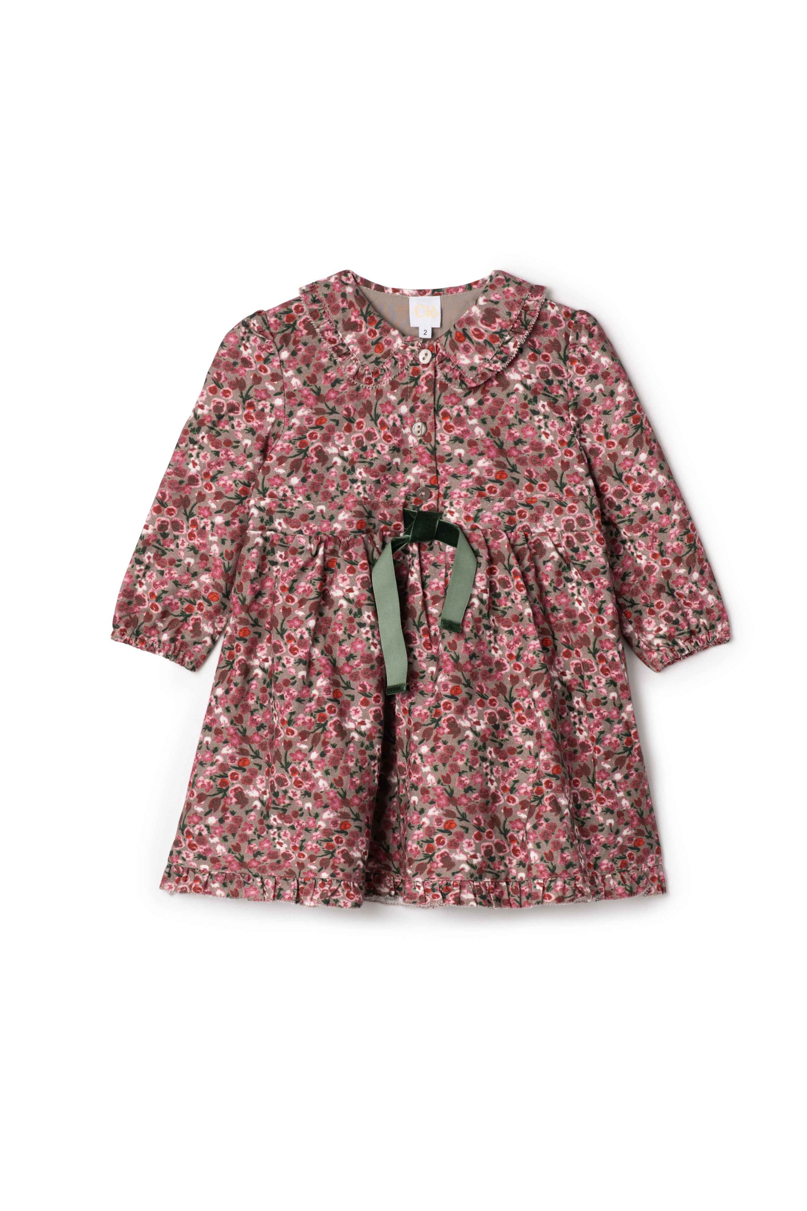 Flower Print Lace Dress