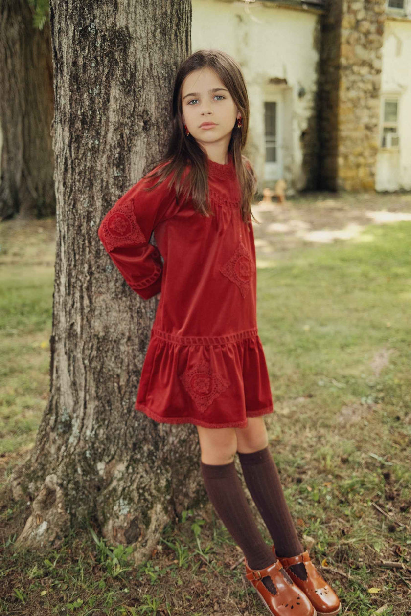 Velvet Lace Dress