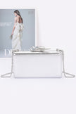 Metal Ribbon Top Case Clutch - Pikemla