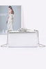 Metal Ribbon Top Case Clutch - Pikemla
