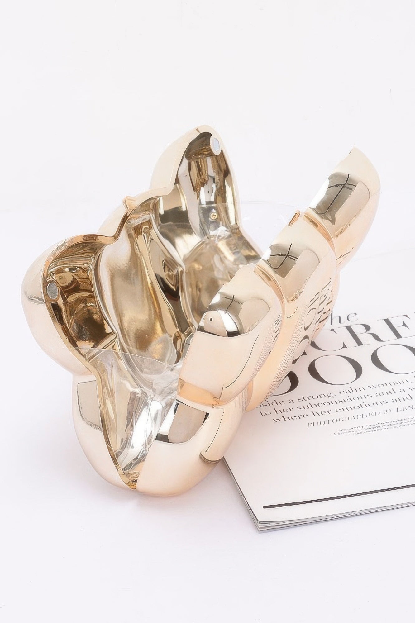 Acrylic Case Bag - Pikemla