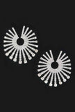 Rhinestone Fan Circle Earrings