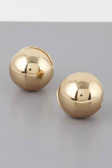 Shiny Shell Clasp Earrings