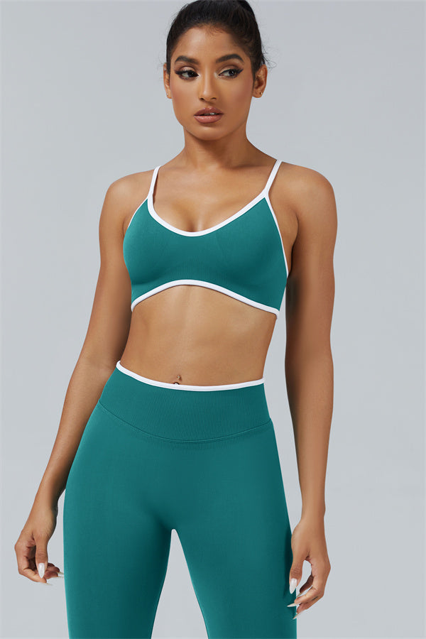 The Elevate Sports Bra Leggings 2-Piece Set