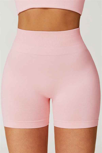 The Delight Shorts
