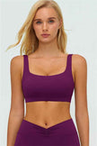 The Lushness V-Back Sports Bra Shorts 2-Piece Set
