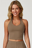The Boost Halter Crop Top