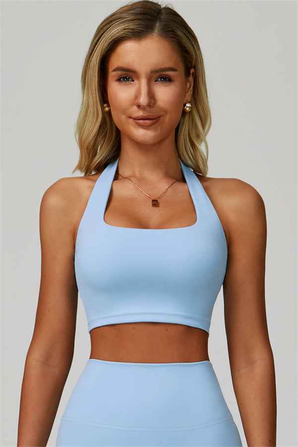 The Seraphine Halter Crop Top