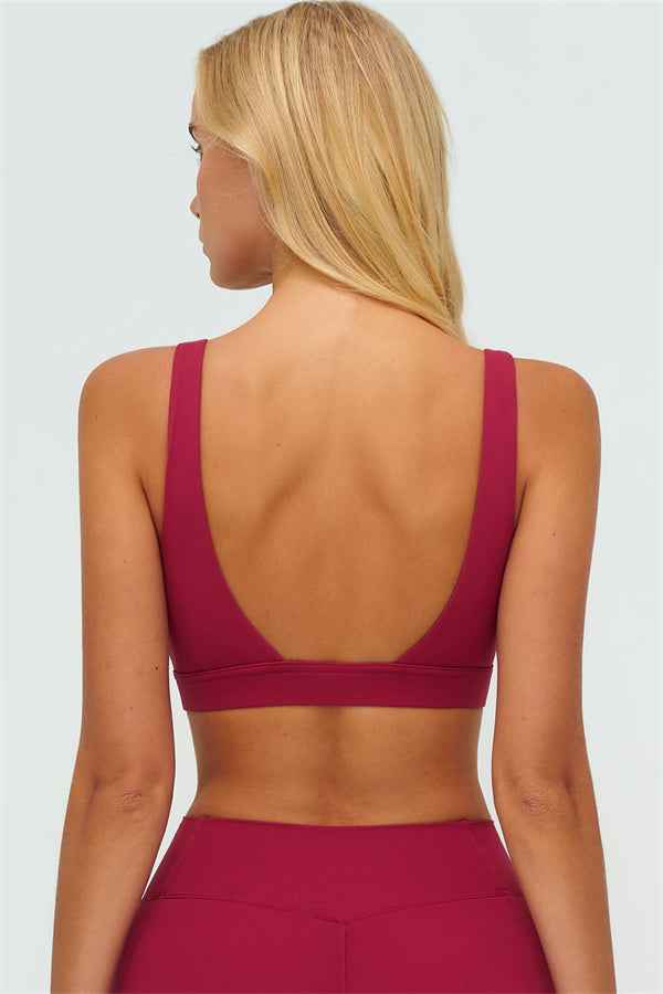 The Lushness V-Back Sports Bra Shorts 2-Piece Set