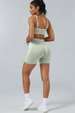 The Elevate Sports Bra Shorts 2-Piece Set