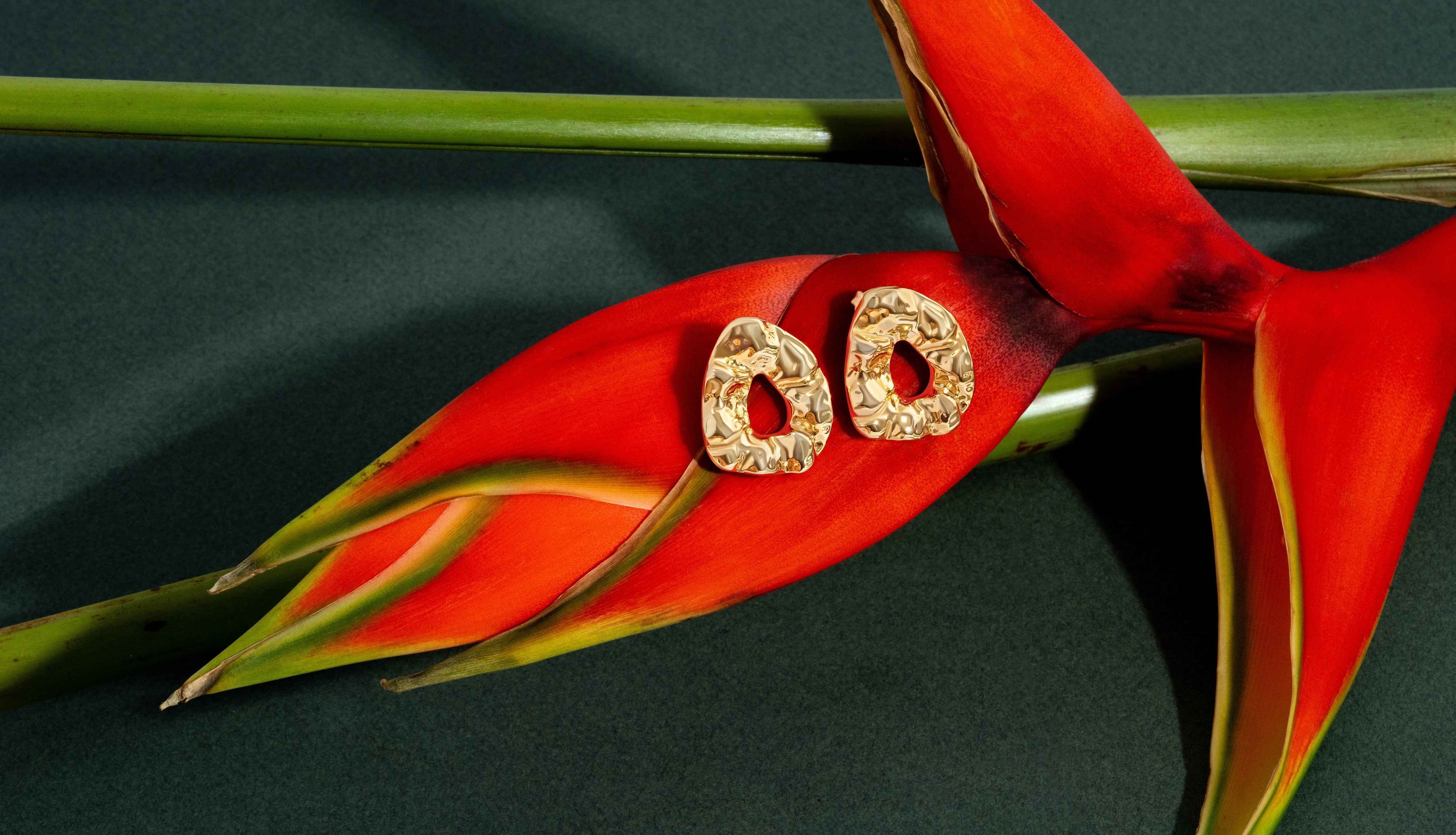 Nathalia Gold Earrings