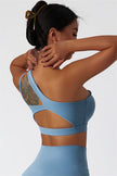 The Blissful Rose Sports Bra