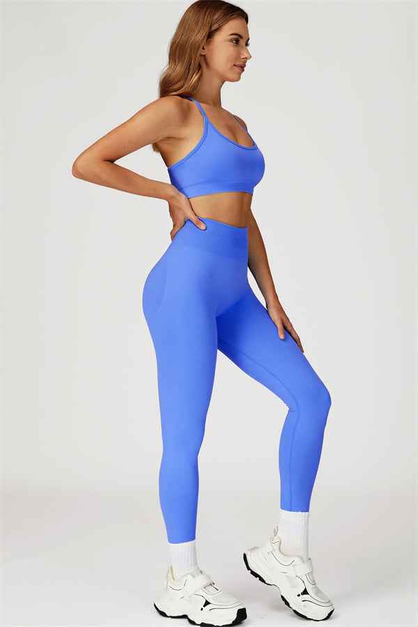 The Sculpt Sports Bra