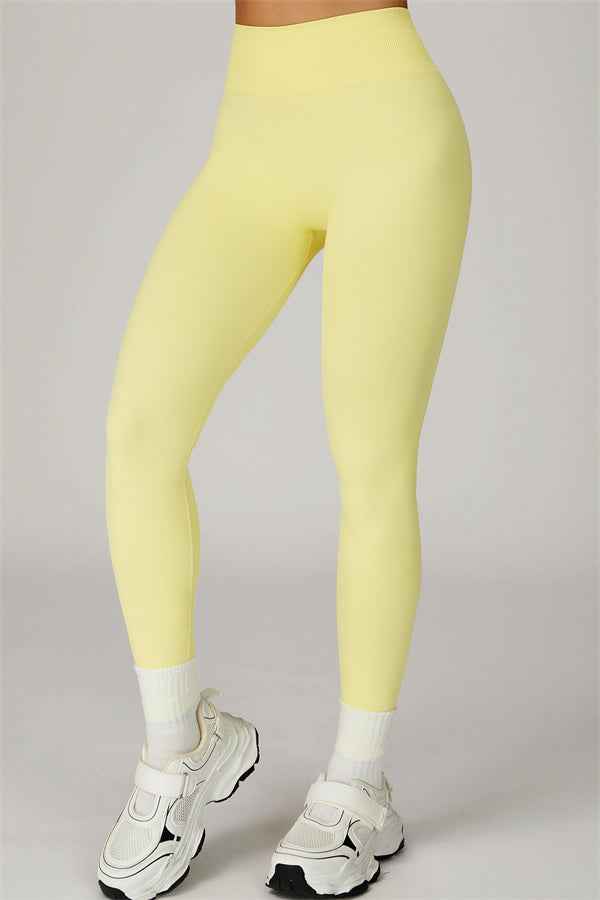 The Sculpt Sports Bra Leggings 2-Piece Set