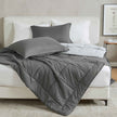 Reversible Comforter Set - Odette Collection