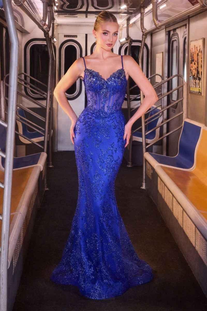 Beaded Embroidery Over Tulle And Spaghetti Straps