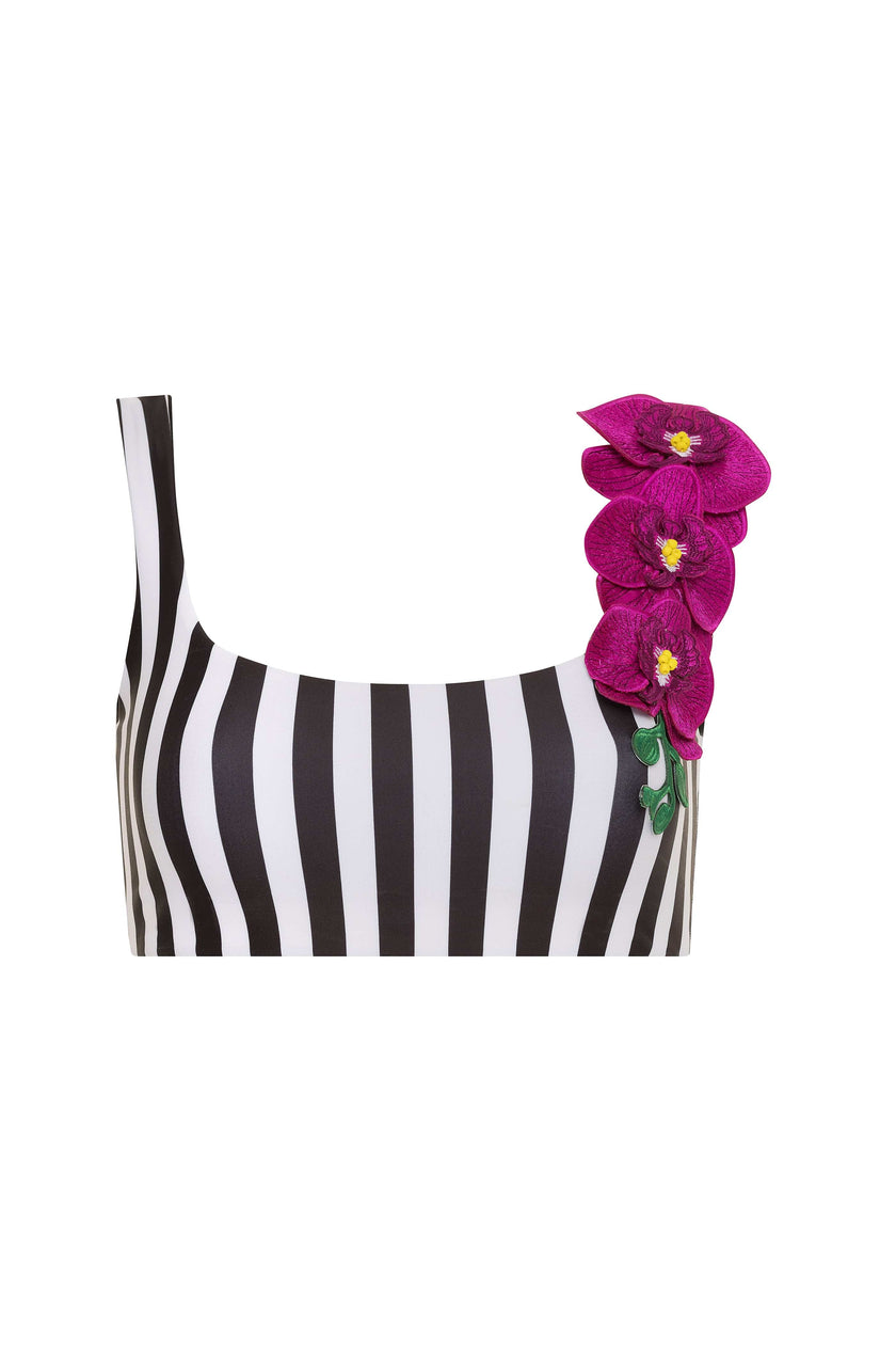 Orchids of Biscayne Top