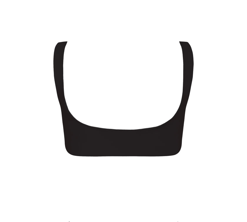 Orchids of Biscayne Top