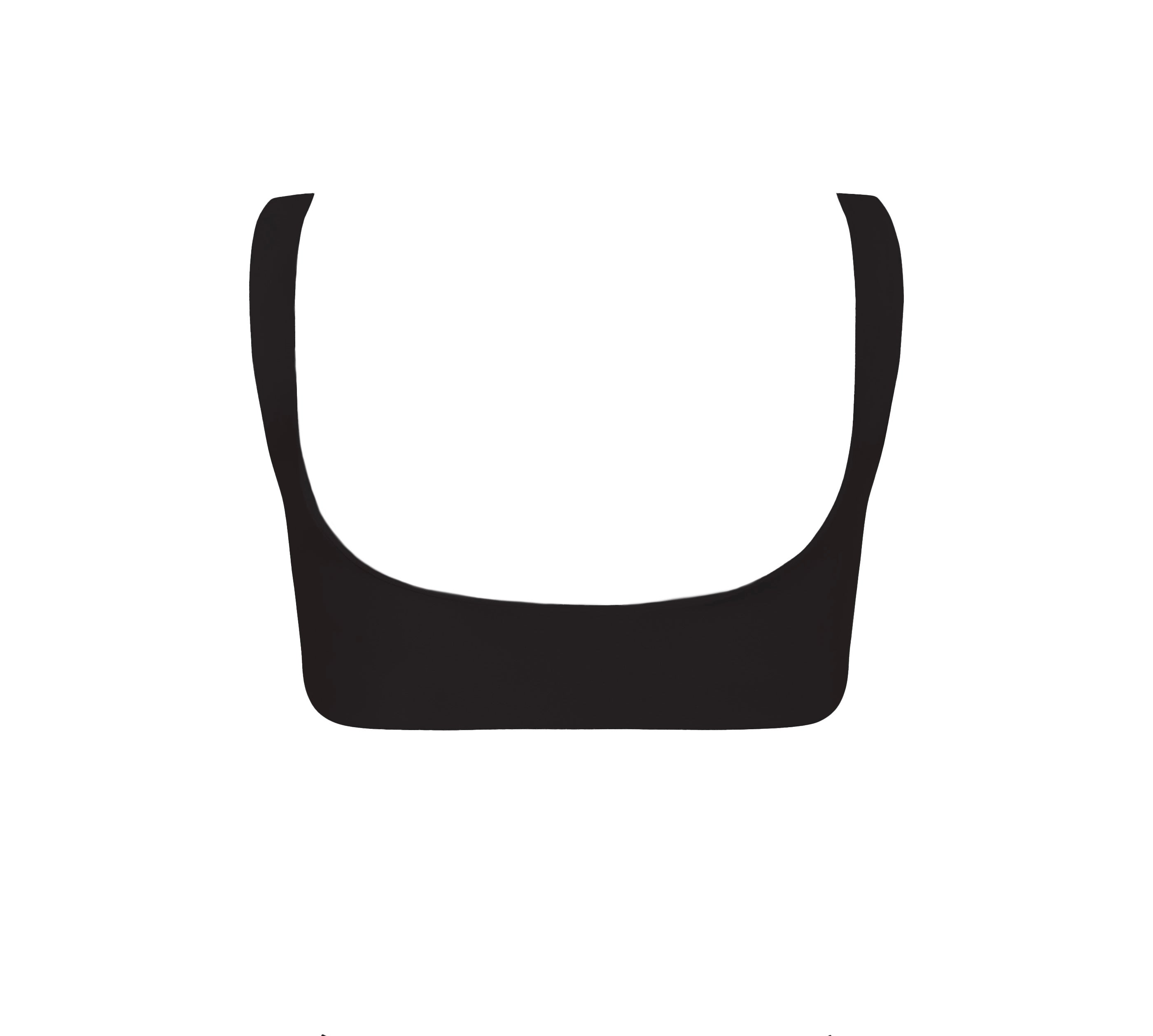 Orchids of Biscayne Top